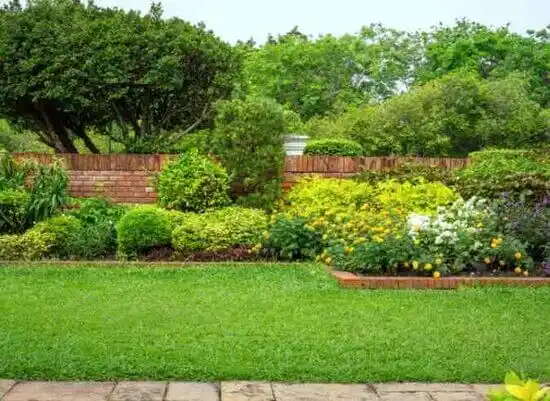 landscaping services Neuse Forest